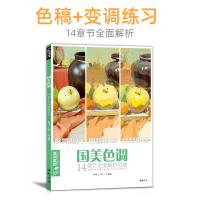 国美色调色彩静物色稿训练临摹书水粉写生对画照片花质感零基础入自学艺高考联考中国美院教程材书籍 杨建飞