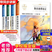 全套4册 鲁滨逊漂流记正版 小学生六年级必读课外阅读书籍下册经典书目名著 爱丽丝漫游奇境尼尔斯骑鹅旅行记汤姆索亚历险记鲁
