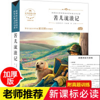 苦儿流浪记正版 小学四年级必读课外书 班主任推荐经典书目名著 适合三四年级 小学生课外阅读书籍青少版新课标全集五年级下册