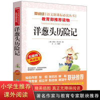 洋葱头历险记 二年级三年级课外书必读老师推荐经典书目 正版意大利贾尼罗大里 适合3年级小学生阅读的书籍训练名著