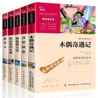 全套装5册 木偶奇遇记 稻草人书叶圣陶三四至五到六年级小学生课外阅读书籍班主任推荐老师名著 绿野仙踪 正版书免邮原版