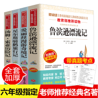 全套4册 六年级必读课外阅读书籍下册经典书目老师推荐鲁滨逊漂流记正版小学生版爱丽丝漫游奇境尼尔斯骑鹅旅行记汤姆索亚历险记