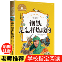 正版钢铁是怎样炼成的 小学生彩图注音版 世界经典儿童文学小说名著 6-12周岁少儿读物 一二三年级阅读课外书