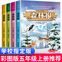 森林报春夏秋冬全四册 五年级必读的课外书合集 小学生三四五年级维比安基 正版 适合孩子阅读的故事绘本2018老师推荐读物