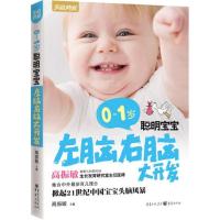 0-1岁聪明宝宝左脑右脑大开发 新生儿 婴儿书籍 0-3岁 早教图书 幼儿全脑益智左右脑 育儿 启蒙认知早教书 高振敏家