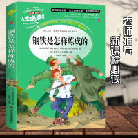 钢铁是怎样炼成的正版 小学生课外书读物7-10-12岁八年级下课外书籍 必读初二阅读钢铁是怎么炼成的初中原著青少年版 世