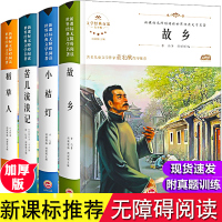 名著全套4册 故乡 鲁迅 六年级课外阅读书籍正版 稻草人书叶圣陶 三年级四年级课外书经典青少年必读 苦儿流浪记原著小桔灯