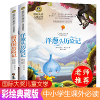 全套2册 洋葱头历险记 二年级三年级3下册课外书必读班主任老师推荐经典书目名著 假话国历险记小学四五六年级儿童故事书 睡