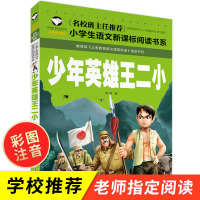 少年英雄王二小正版注音彩图版 名校班主任推荐 一二三年级阅读小学生语文新课标必读的课外书籍中国抗日英雄故事书儿童读物拼音