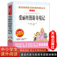 爱丽丝漫游奇境记正版书 三四五六年级必读课外名著书籍 儿童读物中小学生青少年课外阅读书籍无障碍经典仙境 天地出版
