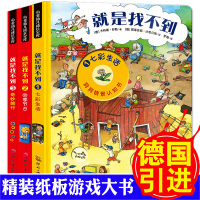 德国经典全景认知书就是找不到情景洞洞书第一辑全3册看图找东西的图画书幼儿童绘本3-4-5-6-7-8周岁专注力训练书益智