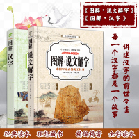 正版汉字王国的故事说文解字+图解汉字彩色图解版 古文字典咬文嚼字细说汉字国学读物常用古代汉语字典初中小学高中儿童学汉字书