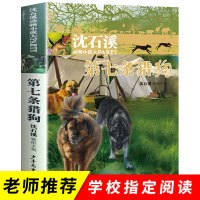 第七条猎狗 沈石溪动物小说系列儿童文学大王 小学生青少年版课外书必读中小学生课外阅读书籍三四五六七八年级儿童文学9-12