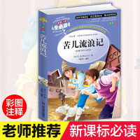 正版 苦儿流浪记 小学生青少年版课外阅读书籍三四五六年级课外书必读世界经典名著3-4-5-6年级8-9-11-12岁