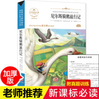 尼尔斯骑鹅旅行记 正版 无障碍阅读青少版 三四五六年级课外书必读名著老师推荐 6-12岁儿童读物小学生课外阅读书籍