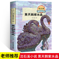 黑天鹅紫水晶 沈石溪正版动物小说系列儿童文学大王 单本故事儿童文学小学生课外阅读书籍三四五六年级老师推荐必读6-12