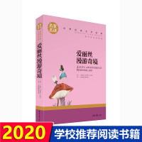 爱丽丝漫游奇境记小说书籍书名家名译世界经典文学名著青少年小学生课外阅读书籍