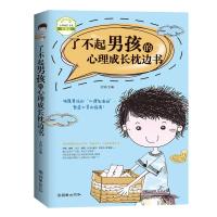 了不起男孩的心理成长枕边书 家庭教育幼教早教育儿百科书籍 中国男孩心理成长枕边书养育男孩(男孩父母必读) 青少年心理书系
