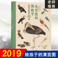 故宫里的博物学 给孩子的清宫鸟谱 来自故宫的动物百科图鉴 中信出版社少儿童书科普早教阅读 暑期课外阅读 中国版神奇动物在