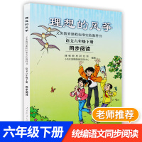 义务教育教科书语文六年级下册同步阅读 理想的风筝 统编版语文教材配套阅读 小学语文6年级课本快乐阅读课外思维拓展阅读训练