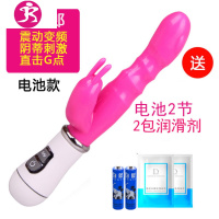 震动棒自卫慰器女性系列自慰自尉成人情趣性用品玩具高潮按摩工具 吉祥小炮 电池款送送电池+大礼包+海豚跳蛋AV震动棒