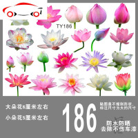 荷花莲花车贴划痕贴遮盖保险杠贴纸汽车防水车身立体贴纸画 JING PING 荷花TY186一版