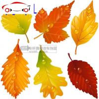 汽车贴纸遮挡划痕车身贴前后保险杠装饰贴树叶枫叶创意防水反光 JING PING 树叶1