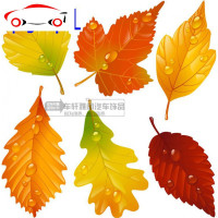 汽车贴纸遮挡划痕车身贴前后保险杠装饰贴树叶枫叶创意防水反光 JING PING 树叶3