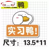 磁性新手女司机上路车贴 女新手汽车贴纸实习标志网红鸭创意防水 JING PING 胶贴鸭牌子95