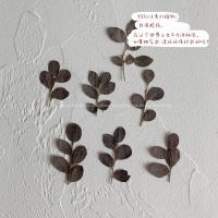 nullthing 原创复古diy干花卡片组合透明手机壳viage古着手机壳真智力