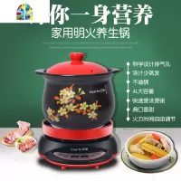 智能电炖锅砂锅煲汤家用玻璃养生锅套装全自动煮粥大容量 FENGHOU 5500+2L玻璃水壶