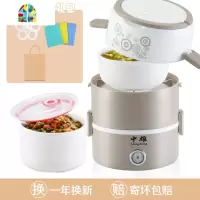 电热饭盒保温可插电加热蒸煮热饭带饭锅桶上班族便携带饭便当 FENGHOU 粉色双层不锈钢+餐具