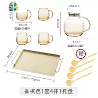 北欧轻奢冷水壶玻璃套装可高温凉水壶水杯家用创意水具果汁壶扎壶 FENGHOU 香槟色---单水壶