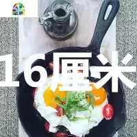 厨房器材.牛排专用 煎锅 可当餐盘 FENGHOU 16厘米