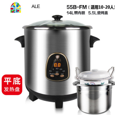 电炖煲不锈钢炖锅隔水电炖盅煮粥煲汤锅全自动家用商用 FENGHOU 9升单功能+无炖盅(5-9人)