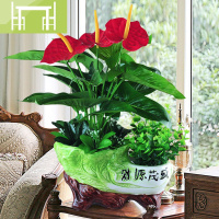 逸家伴侣红掌仿真植物绿植仿真花艺家居装饰花餐桌摆设客厅室内办公桌摆件