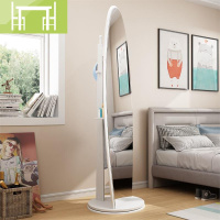 逸家伴侣挂壁式全身镜复古店铺落地镜立体家用宿舍免打孔立身北欧风椭圆形试衣镜