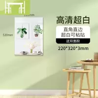 逸家伴侣镜子贴墙穿衣镜女宿舍壁挂粘贴家用客厅卧室卫生间浴室化妆试衣镜