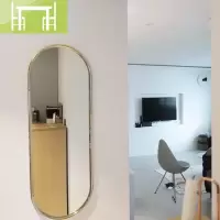逸家伴侣集木室物所/铜色北欧简约全身镜ins经典穿衣镜装饰镜好好住