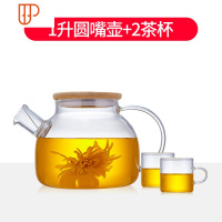 玻璃旅行茶具可高温水壶泡旅行茶具过滤红茶茶具加厚花旅行茶具家用玻璃壶 国泰家和 1升圆嘴壶+2