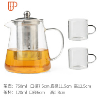 耐热玻璃旅行茶具 家用带套装泡水壶小茶具过滤花旅行茶具单壶 泡旅行茶具 国泰家和 玻璃旅行茶具750ml+两个装