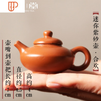 迷你小壶茶宠 白瓷陶瓷创意茶具摆件 袖珍功夫旅行茶具茶道茶玩 国泰家和 迷你壶[合欢]