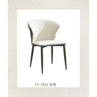 好风景家居设计经典简约易清洁材质优良CY-T022餐椅