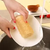 下奶搓澡天然丝瓜络洗碗刷锅老丝瓜瓤水浴巾不沾油百洁布瓜瓤抹布|1个 长度10厘米