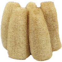 下奶搓澡天然丝瓜络洗碗刷锅老丝瓜瓤水浴巾不沾油百洁布瓜瓤抹布|5个 长度25厘米