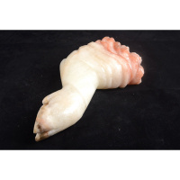 猪肉石摆件天然猪肉石猪手猪蹄猪肘子观赏石自然石腊肉石收藏品吉祥扒财摆件