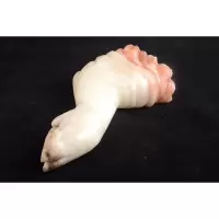 猪肉石摆件天然猪肉石猪手猪蹄猪肘子观赏石自然石腊肉石收藏品吉祥扒财摆件