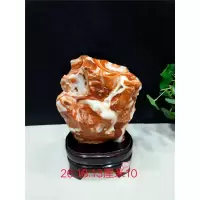 猪肉石摆件天然肉石猪肉石奇石观赏石原石个性家居礼品收藏摆件特价石头