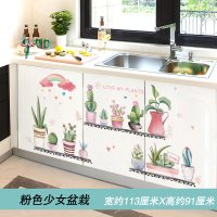 厨房柜门贴纸橱柜门贴纸厨房橱柜厨柜子防油贴纸画自粘防水冰箱衣柜装饰品家具翻新墙贴 粉色少女盆栽(新拼版) 大
