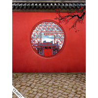 直播背景墙直播主播网红服装拍照背景布3d摄影拍摄直播间装饰ins背景墙 红白1.5米宽X2米高